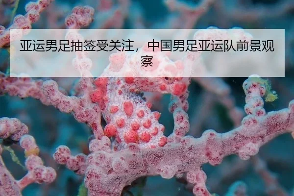 亚运男足抽签受关注，中国男足亚运队前景观察